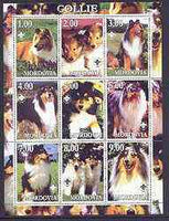 Mordovia Republic 2001 Dogs (Collie) perf sheetlet containing complete set of 9 values, each with Scout logo unmounted mint