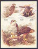 Chuvashia Republic 2001 Birds of Prey composite imperf sheetlet containing complete set of 9 values unmounted mint