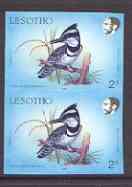 Lesotho 1988 Birds 2s Pied Kingfisher in superb imperf pair unmounted mint, SG 791var