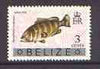 Belize 1973 Misty Grouper Fish 3c from opt'd def set with new Country name, unmounted mint, SG 350