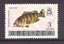 Belize 1973 Misty Grouper Fish 3c from opt'd def set with new Country name, unmounted mint, SG 350