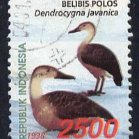 Indonesia 1998 Waterfowl (2nd series) 2,500r Indian Whistling Duck fine commercially used, SG 2473