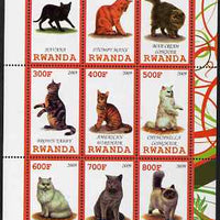 Rwanda 2009 Domestic Cats perf sheetlet containing 9 values unmounted mint