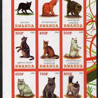 Rwanda 2009 Domestic Cats imperf sheetlet containing 9 values unmounted mint