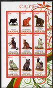 Rwanda 2009 Domestic Cats imperf sheetlet containing 9 values unmounted mint