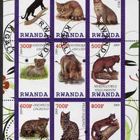 Rwanda 2009 Wild Cats perf sheetlet containing 9 values fine cto used