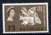 Bermuda 1963 Freedom From Hunger unmounted mint, SG 180