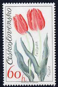 Czechoslovakia 1973 Tulip 60h (from Flower Show set) unmounted mint, SG 2110