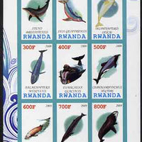 Rwanda 2009 Whales & Dolphins imperf sheetlet containing 9 values unmounted mint