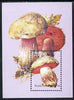 Kuril Islands 2001 Fungi perf souvenir sheetlet containing 1 value unmounted mint