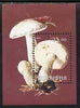 Udmurtia Republic 2001 Fungi perf souvenir sheetlet containing 1 value unmounted mint