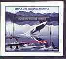 Rumania 1992 Killer Whale 100L perf m/sheet unmounted mint, SG MS 5485