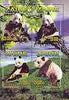 Zaire 1996 Pandas perf sheetlet containing set of 4 values unmounted mint, Mi 1153-56