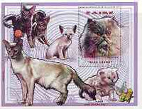 Zaire 1996 Domestic Cats perf m/sheet unmounted mint Mi BL74