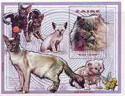 Zaire 1996 Domestic Cats perf m/sheet unmounted mint Mi BL74