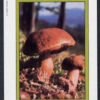 Staffa 1982 Fungi imperf deluxe sheet (£2 value) unmounted mint
