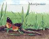 Sahara Republic 1999 Butterflies perf m/sheet unmounted mint