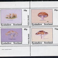 Eynhallow 1982 Fungi (Stump Puffball etc) perf set of 4 values (10p to 75p) unmounted mint