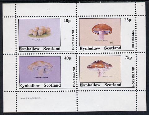 Eynhallow 1982 Fungi (Stump Puffball etc) perf set of 4 values (10p to 75p) unmounted mint
