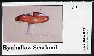 Eynhallow 1982 Fungi (Fly Agaric) imperf souvenir sheet (£1 value) unmounted mint