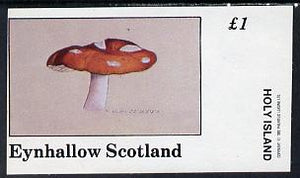Eynhallow 1982 Fungi (Fly Agaric) imperf souvenir sheet (£1 value) unmounted mint
