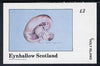 Eynhallow 1982 Fungi (Field Mushroom) imperf deluxe sheet (£2 value) unmounted mint