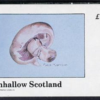 Eynhallow 1982 Fungi (Field Mushroom) imperf deluxe sheet (£2 value) unmounted mint