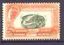 Dubai 1963 Mussel 25np Postage Due perf proof on gummed paper with frame doubled, SG D33var