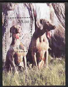 Kalmikia Republic 2001 Dogs perf m/sheet unmounted mint (Weimaraner)
