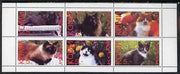 Komi Republic 1998 Domestic cats perf sheetlet containing set of 6 values unmounted mint