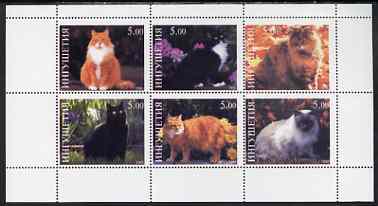 Ingushetia Republic 1998 Domestic cats perf sheetlet containing set of 6 values unmounted mint