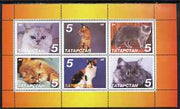 Tatarstan Republic 1998 Domestic cats perf sheetlet containing set of 6 values unmounted mint