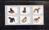 Karakalpakia Republic 1998 Dogs #2 perf sheetlet containing set of 6 values unmounted mint (black border)