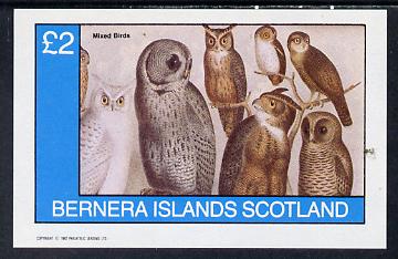 Bernera 1982 Birds #42 (Owls) imperf deluxe sheet (£2 value) unmounted mint