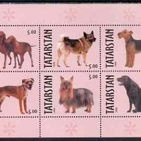 Tatarstan Republic 1999 Dogs #1 perf sheetlet containing set of 6 values unmounted mint (pink background)