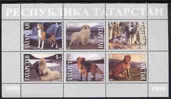 Tatarstan Republic 1999 Dogs #2 perf sheetlet containing set of 6 values unmounted mint (grey background)