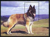 Buriatia Republic 2001 Dogs perf m/sheet unmounted mint (GSD)