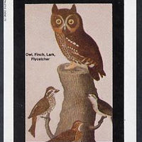 Staffa 1982 Birds #32 (Owl, Finch, Lark & Flycatcher) imperf deluxe sheet (£2 value) unmounted mint