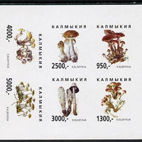Kalmikia Republic 1998 Fungi imperf sheetlet containing complete set of 6 values unmounted mint