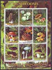 Somalia 2000 Mushrooms #2 perf sheetlet containing set of 9 values cto used