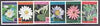 Afghanistan 1997 Wild Flowers complete set of 6 values unmounted mint