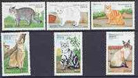 Benin 1998 Domestic Cats complete perf set of 6 values unmounted mint