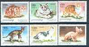 Cambodia 1998 Domestic Cats complete perf set of 6 values unmounted mint