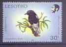 Lesotho 1988 Birds 30s Mountain chat unmounted mint, SG 798*