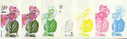 Dhufar 1977 Garden Flowers 2B (Incarvillea) set of 7 imperf progressive colour proofs comprising the 4 individual colours plus 2, 3 and all 4-colour composites unmounted mint