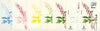 Dhufar 1977 Garden Flowers 4B (Dicentra) set of 7 imperf progressive colour proofs comprising the 4 individual colours plus 2, 3 and all 4-colour composites unmounted mint