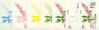 Dhufar 1977 Garden Flowers 4B (Dicentra) set of 7 imperf progressive colour proofs comprising the 4 individual colours plus 2, 3 and all 4-colour composites unmounted mint