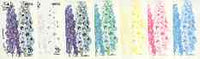 Dhufar 1977 Garden Flowers 20B (Delphinium) set of 7 imperf progressive colour proofs comprising the 4 individual colours plus 2, 3 and all 4-colour composites unmounted mint