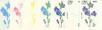 Dhufar 1977 Garden Flowers 1R20 (Bell Flower) set of 7 imperf progressive colour proofs comprising the 4 individual colours plus 2, 3 and all 4-colour composites unmounted mint