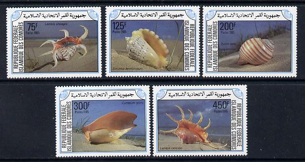 Comoro Islands 1985 Shells,set of 5 unmounted mint SG 566-70